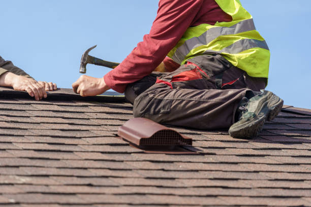 Best Roof Maintenance Services  in Bloomfield, IA